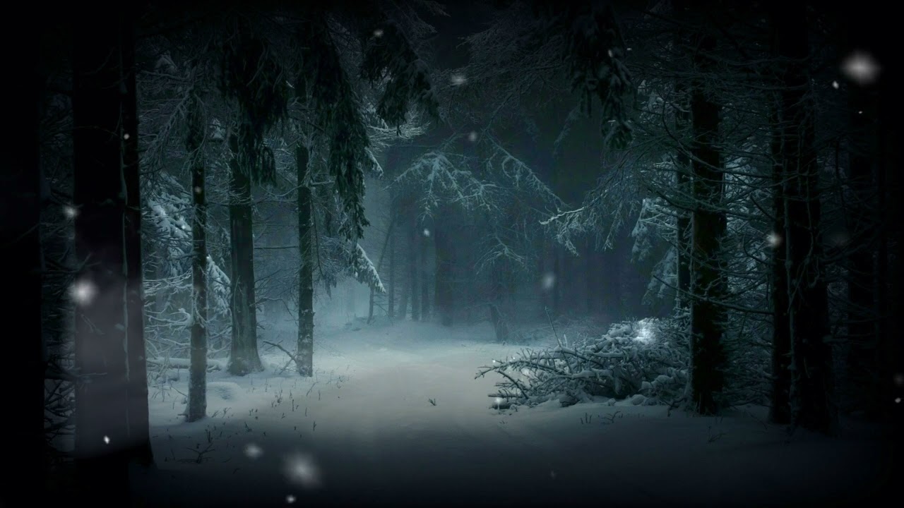 Como dormir con sonidos de bosque ❄️ helado en invierno