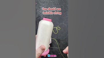 Folding Money Magic Tutorial Crazy Visual Magic Trick 💵✨  #magicwacky