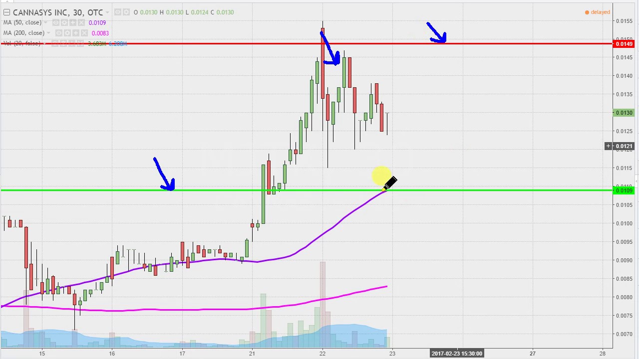 Mjtk Stock Chart