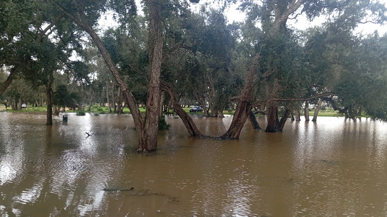الطبيعة والهدوء والراحة النفسية من غابة معمورة سلا  