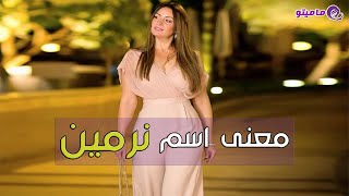 معنى اسم نرمين Nermin وأسرار شخصيتها