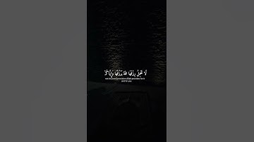 القرآن الكريم القارئ عبدالرحمن مسعد