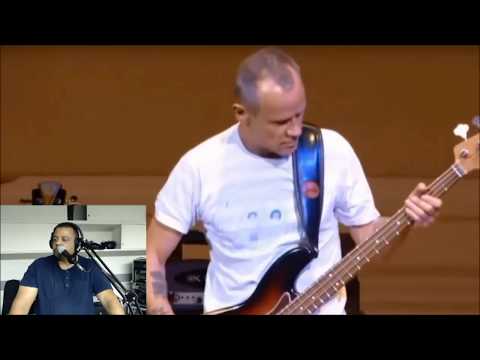 reaction-video:-flea-bass-solo(yikes!)