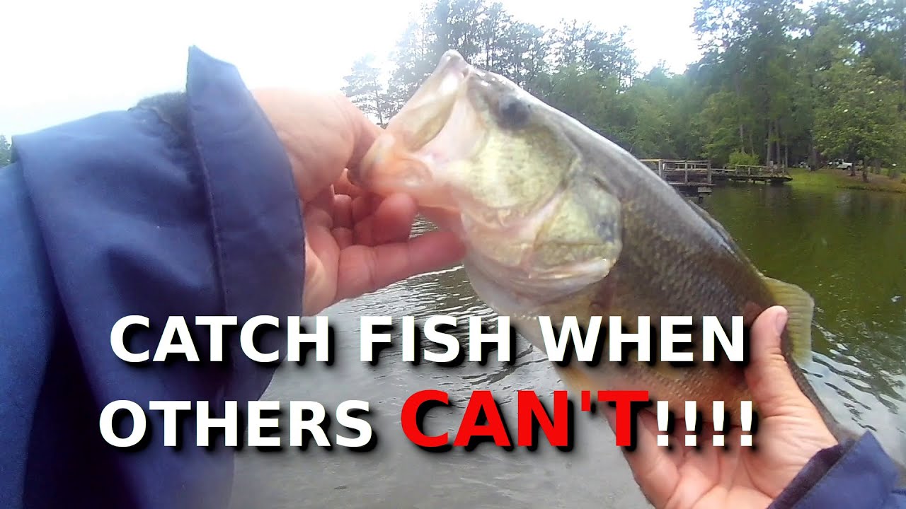 Finding Bass On PRESSURED LAKES And Getting Them To BITE Is EASY!!!!