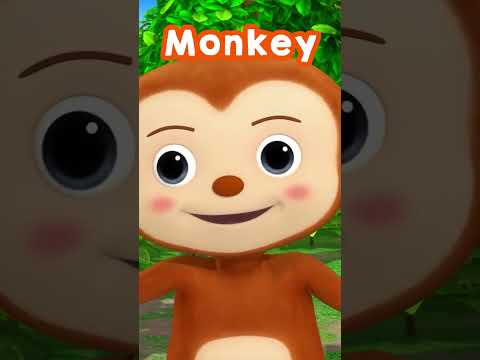 Monkeys Eating Bananas 🍌 Animal Feeding Song #shorts