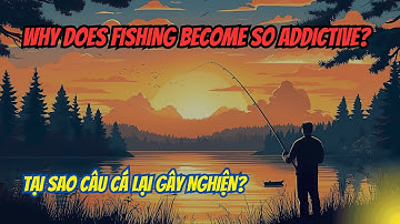 Tại Sao Câu Cá Lại Gây Nghiện?