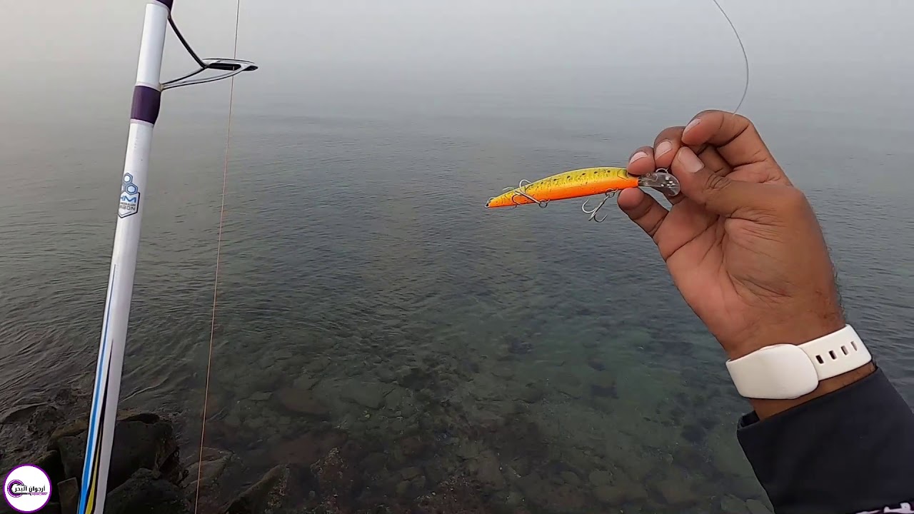 طريقة تلافي التصخير من الشاطئ