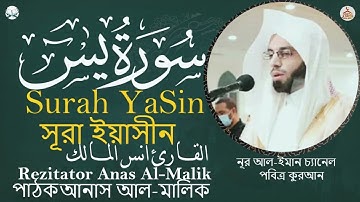 سورة يس كاملة  أروع تلاوة القارئ انس المالك مكررة  💖 Surah Ya Sin