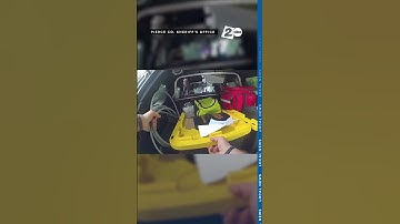 Deputies lasso chainsaw-wielding man from pond in Pierce County, Washington