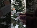 То что нужно для уютной прогулки #варежки #вышивка #вишенки