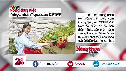 Để phát triển nông nghiếp, áp dụng công nghệ cao trong sản xuất là chưa đủ  | VTV24