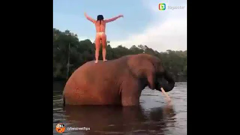 woman hits a back flip off elephant😮 #viral
