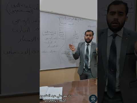 الحقوق الماليه الحقوق العينية ١ حقوق