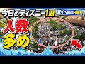 【速報】夏イベント初の日曜日で人数多め‼️今日のディズニーリゾート最新混雑状況【2026.7.5】