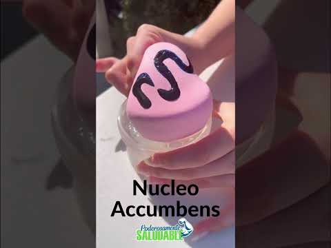 #shorts Videos Satisfactorios