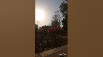ماتيسر من سورة يونس آية (٤) ☀️☀️🧡🧡🧡🧡🧡🌼✨...