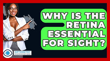 Why Is The Retina Essential For Sight? - Optometry Knowledge Base