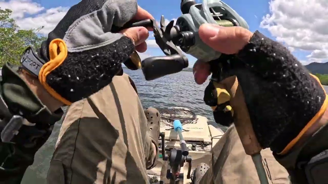 Pescaria de robalo no Rio Palmital, e frito no barranco.