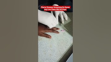Filaria Control Program | Filaria Screening In Night #filaria #screening #dutytime #nightduty