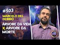 Rvore da vida x rvore da morte  marcelo del debbio  in 503