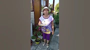 Самое простое средство  от муравьев.