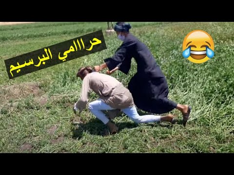 صعيدي راح يسرق برسيم في عز النهار من غيط الحج مختار شوف عمل فيه ايه ضحك للركب 