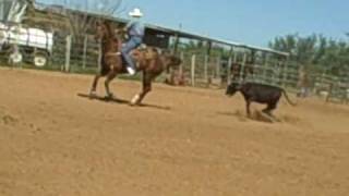 VID00005.AVI