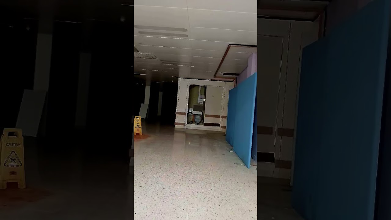 I acually took these pictures myself! 