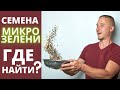 семена микрозелени миф ?   как их искать ? Секреты от Зеленого шефа  микрозелень дома