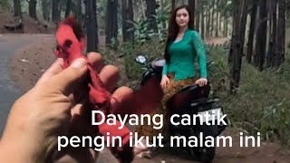 otw kawal man ireng ke hutan kakek buyut bawa si dayang cantik