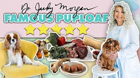 Making Puploaf with Dr. Judy Morgan