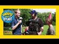 Mailman Party Trivia Questions