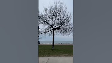 Do not feel lonely, the entire universe is inside you. You are the universe in ecstatic motion. Rumi