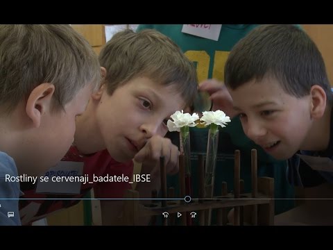Video: Jak Otevřít Vzdělávací Centrum