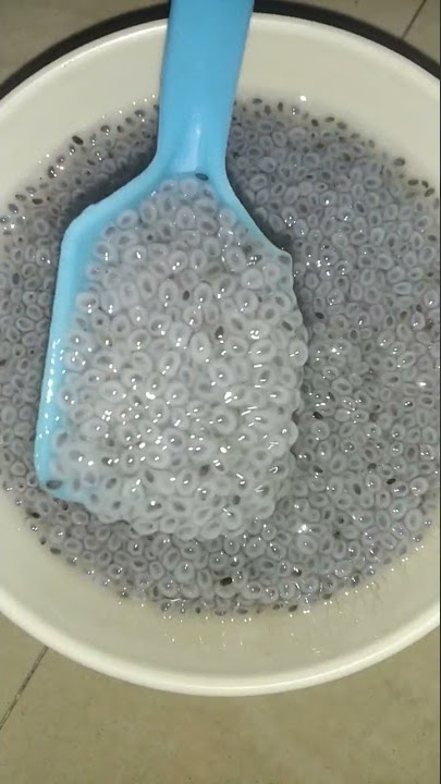 sabja water || basil seeds || burning fat || summer drink || #honey || #shorts
