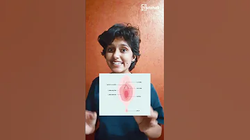 What Is Squirting Sex Ed Shorts Nutshell 
