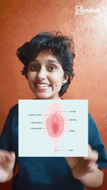 What is squirting? | Sex ed | #shorts | Nutshell