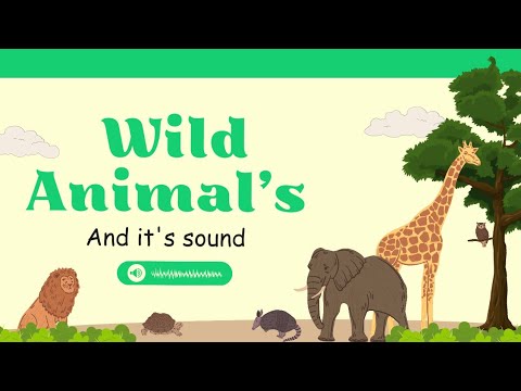 wild animals and their sounds||kids Avenue 2.0||WILD ANIMALS||wild ...