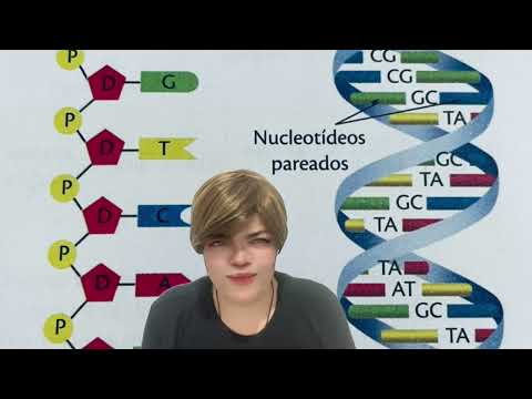 Vídeo: A ribose e a desoxirribose são isômeros estruturais?