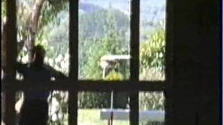 Fin de curso en la Colonia Infantil de Polientes Año 1990-1991. (2ªparte)