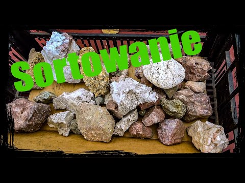 W poszukiwaniu skarbów