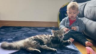 Adorable Baby Boy Plays With Kitten! (So Cute!!)