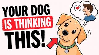 THE PSYCHOLOGY OF DOGS WHEN THEY TILT THEIR HEAD