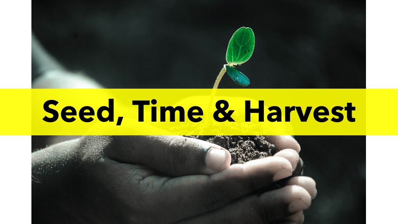 How Does Seed, Time & Harvest Apply To My Health?