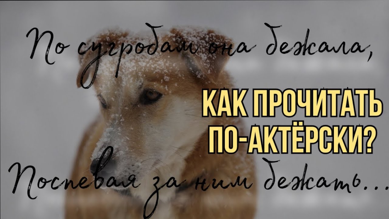 С. Есенин «Песнь о собаке» | актерский разбор стихотворения | читаем ...