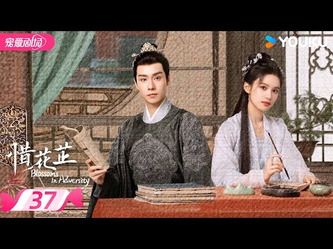 ENGSUB【FULL】惜花芷 Blossoms in Adversity EP37 | 胡一天张婧仪双强救赎💞携手谱写进阶之路！ | 胡一天/张婧仪 | 优酷宠爱频道 YOUKU ROMANCE