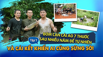 Bơm cạn cái ao 7 thước sau nhiều năm để tự nhiên và... cái kết | Tập 1