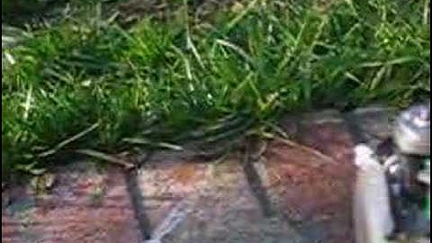 Cox .049 Sure Start RC Conversion