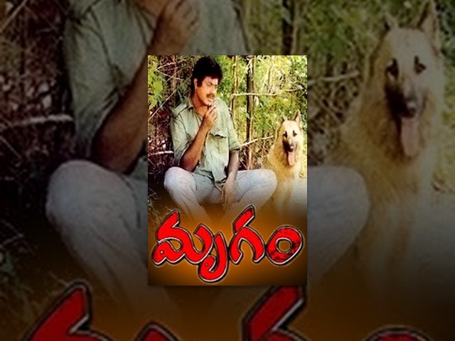 Mrugam Telugu Full Movie | Mammootty | Sunitha | Oorvashi | Sashi | Mango Videos