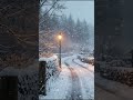 Heavy Snowfall &amp; Wind (NO MUSIC) | Distant Dog Bark + Winter Birds